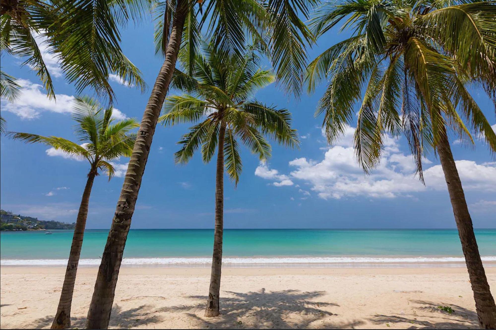 Tropical & Relaxing At Tropics Ctg L304, Amenities, Close To Fantasea And Cafe Del Mar Club * Камала
